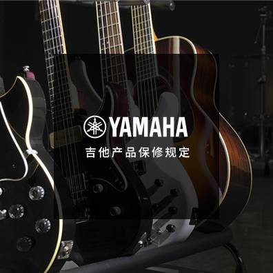吉他、贝斯和音箱